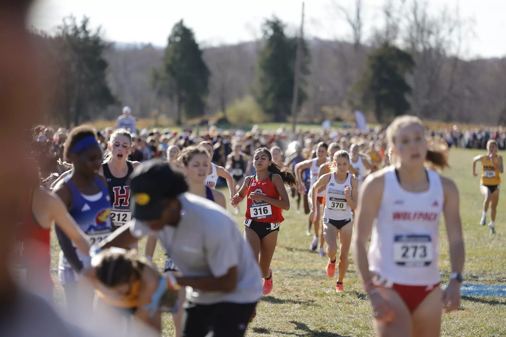 Ohio State Cross Country NCAA Championships 11/18/23