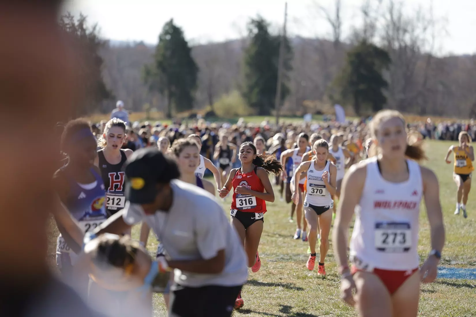 Ohio State Cross Country NCAA Championships 11/18/23