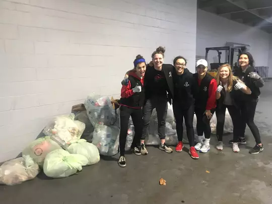 LEAFS Sustainability