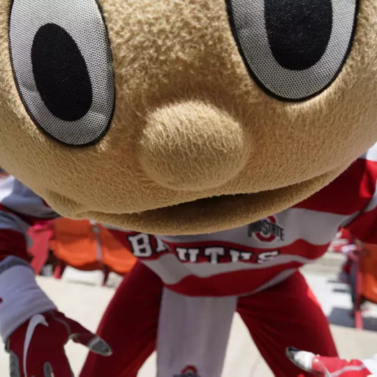 brutus-close-up-baseball-e1600273884850