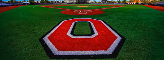 The Ohio State University Baseball team October 7, 2016
(Photo by Walt Middleton Photography 2016)