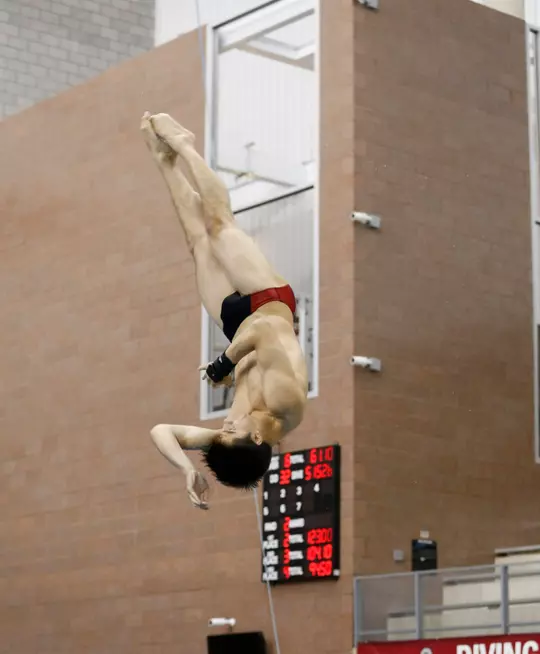 Ohio State swim meet Friday, Nov. 8, 2019, in Columbus, Ohio. (Photo/Jay LaPrete)