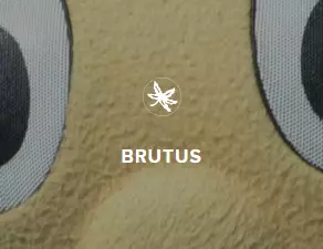brutus button