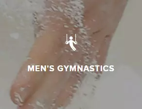 mens gymnastics button