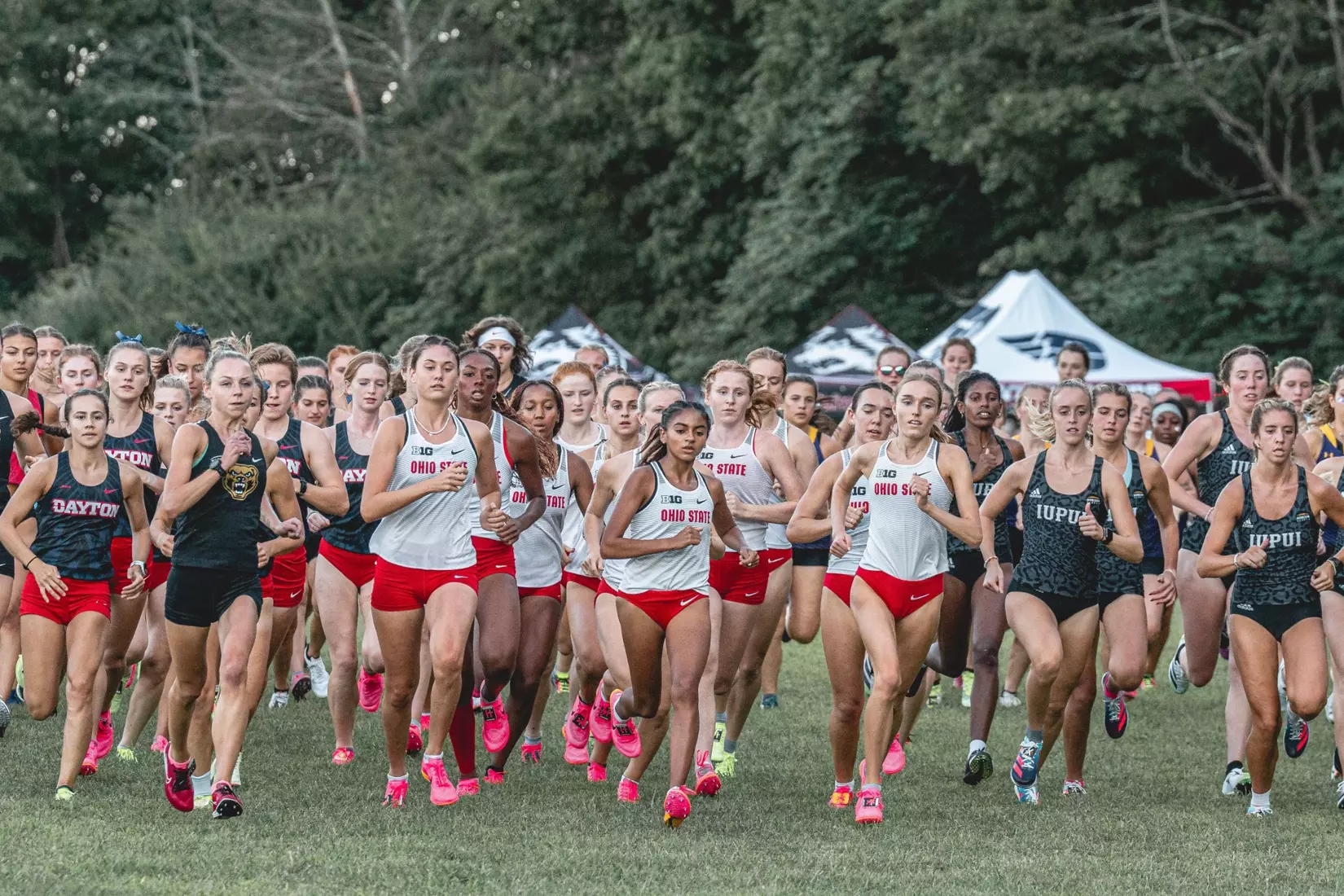 Buckeyes at Mike Baumer Cross Country Classic hosted by Wright State