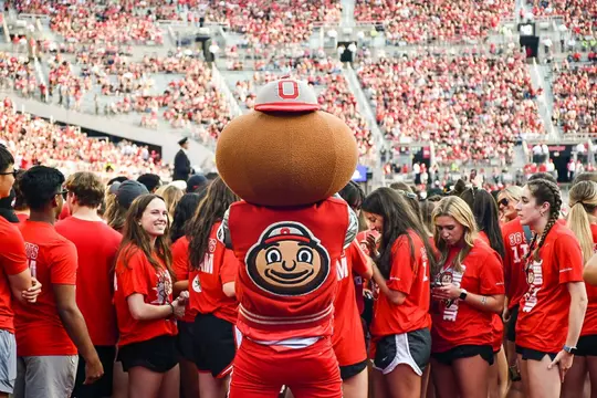 Brutus