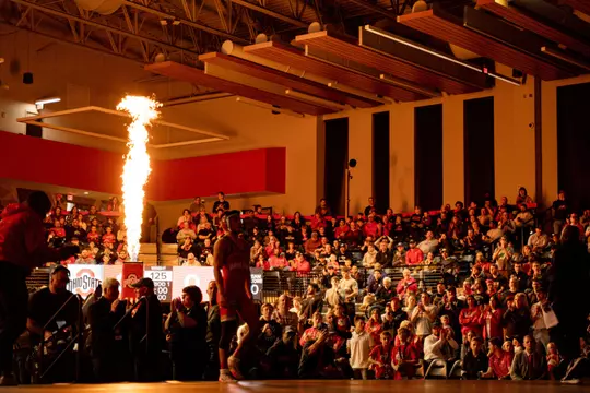 Wrestling Crowd Shot