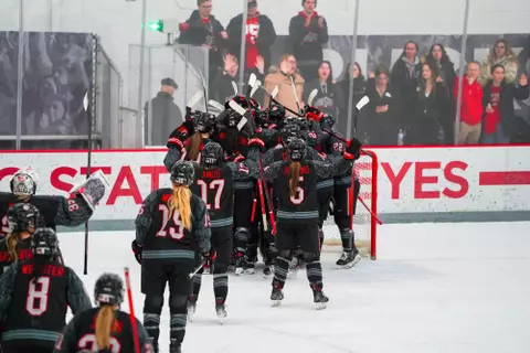 Women's Hockey v. Minnesota Duluth