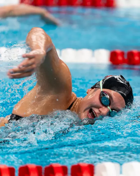 Swim Dive vs Akron and Kentuckey