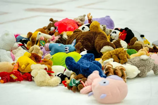Teddy Bear Toss