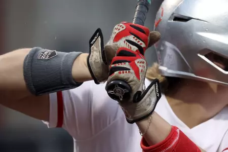 Softball batting gloves