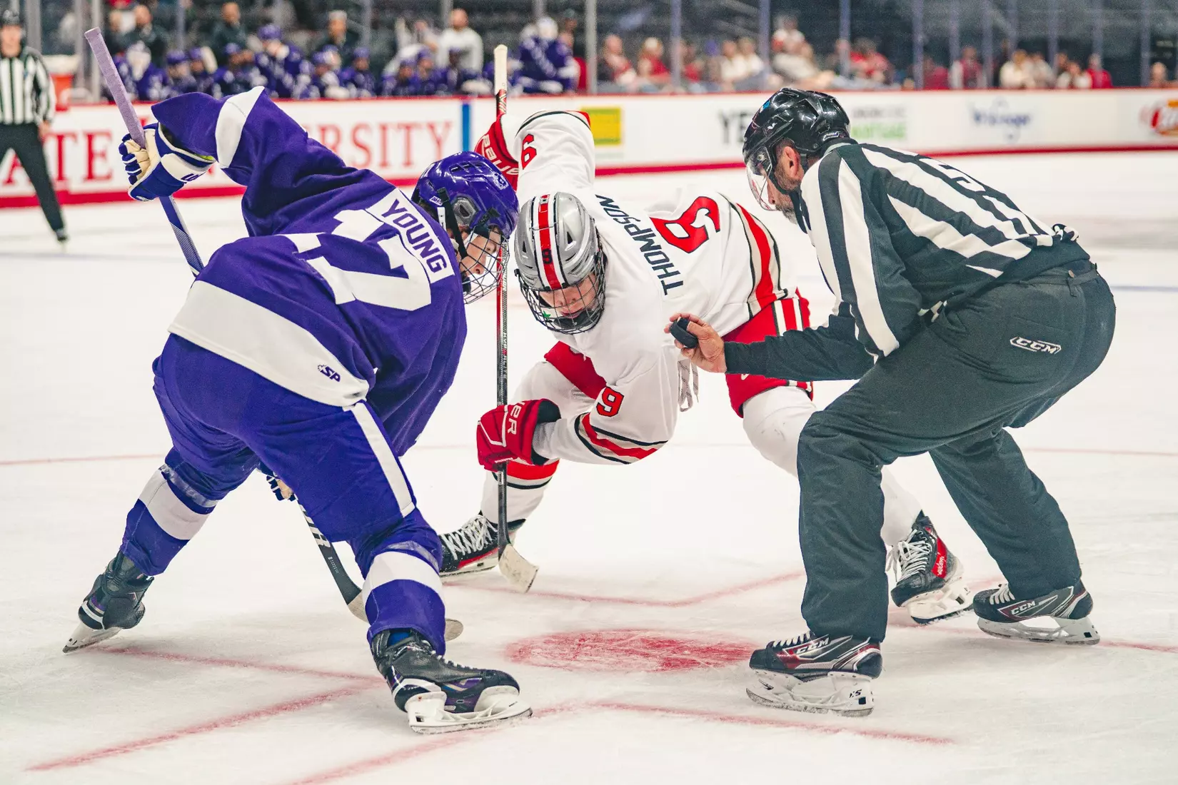 Ohio State vs Niagara 10/06/24