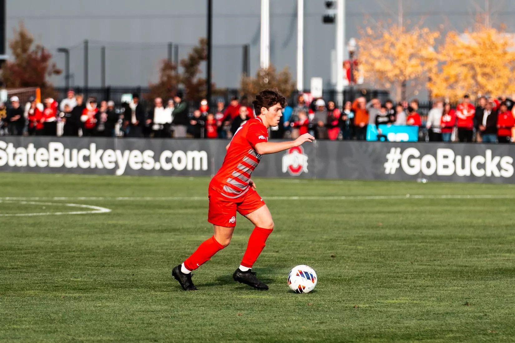 Ohio State vs University of Michigan 11/17/24