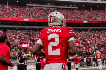 Caleb Downs, Ohio State vs. Indiana 11/23/24