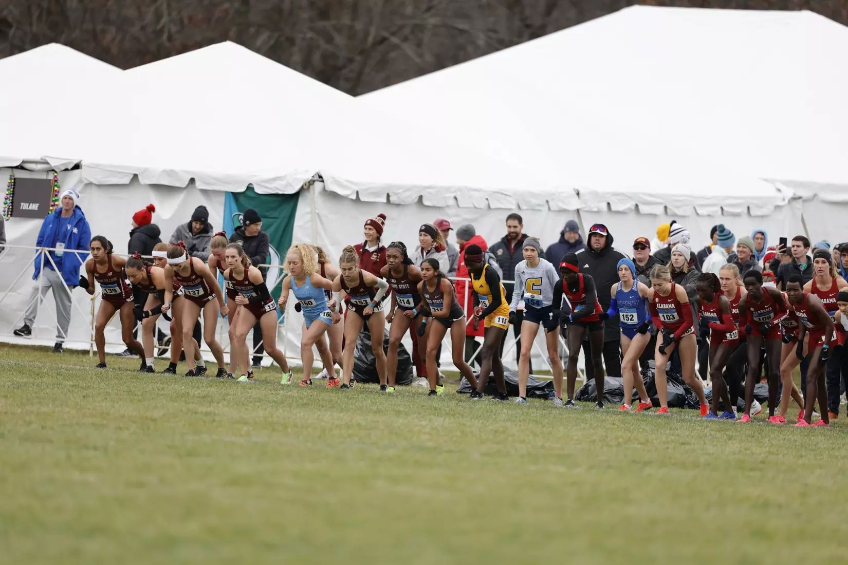 2024 NCAA Cross Country Championships