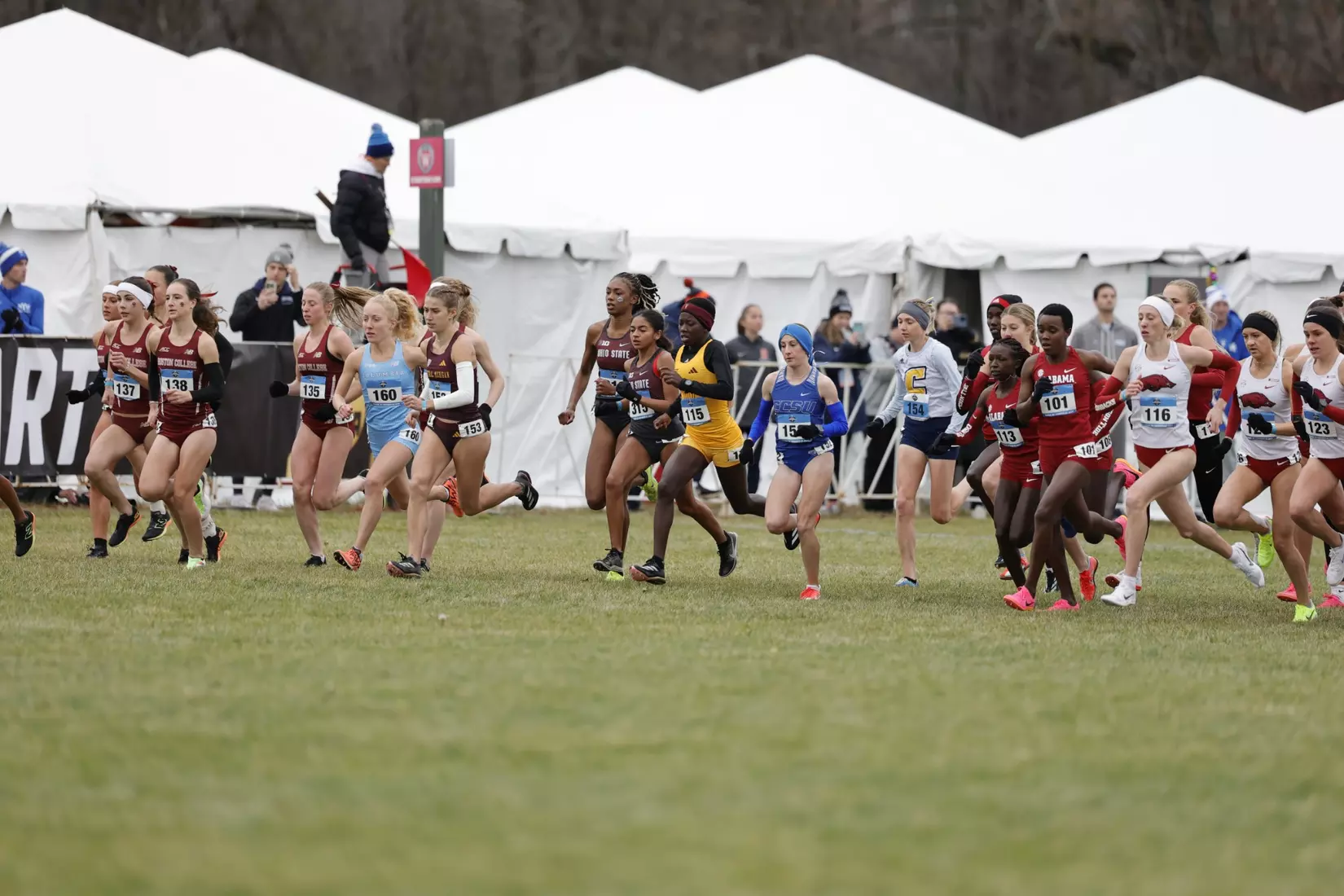 2024 NCAA Cross Country Championships
