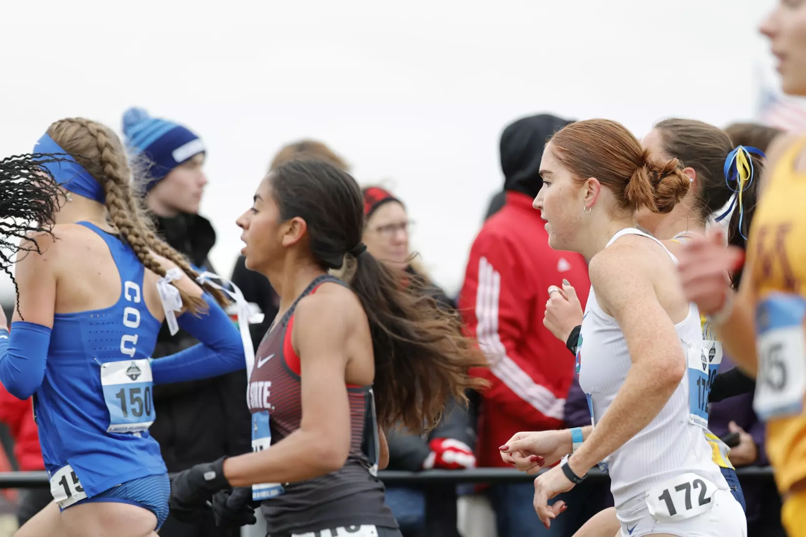 2024 NCAA Cross Country Championships