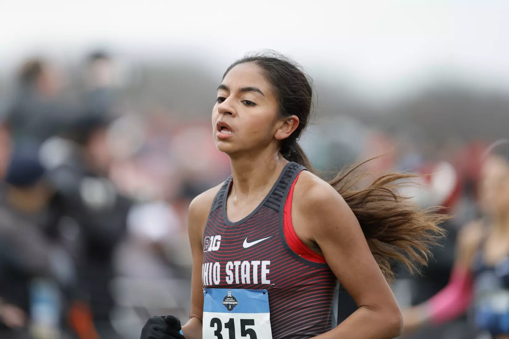 2024 NCAA Cross Country Championships