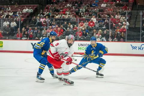 Men's Hockey vs Lake Superior State