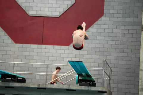 Swim and Dive vs Pitt 020224