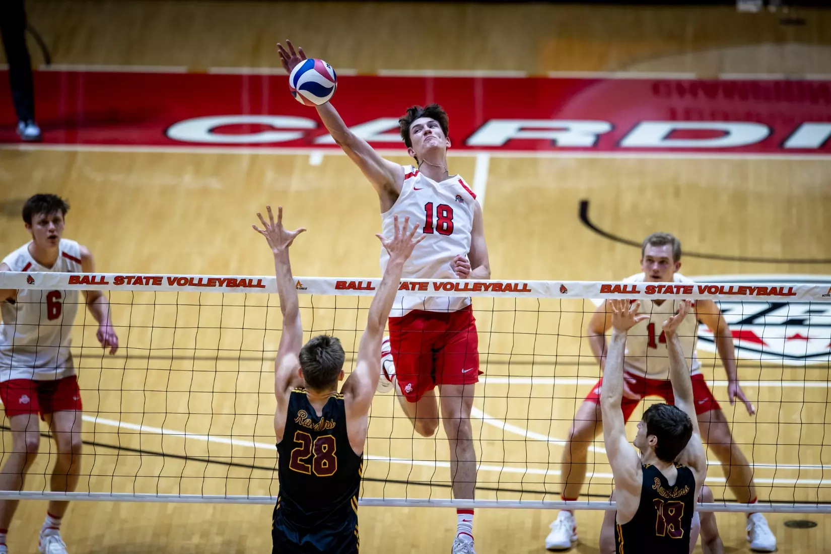 The Ohio State Buckeyes compete against the Loyola Chicago Rambers in the MIVA seminfinals at Worthern Arena in Muncie, Indiana on April 18, 2024. Photo by Bobby Ellis