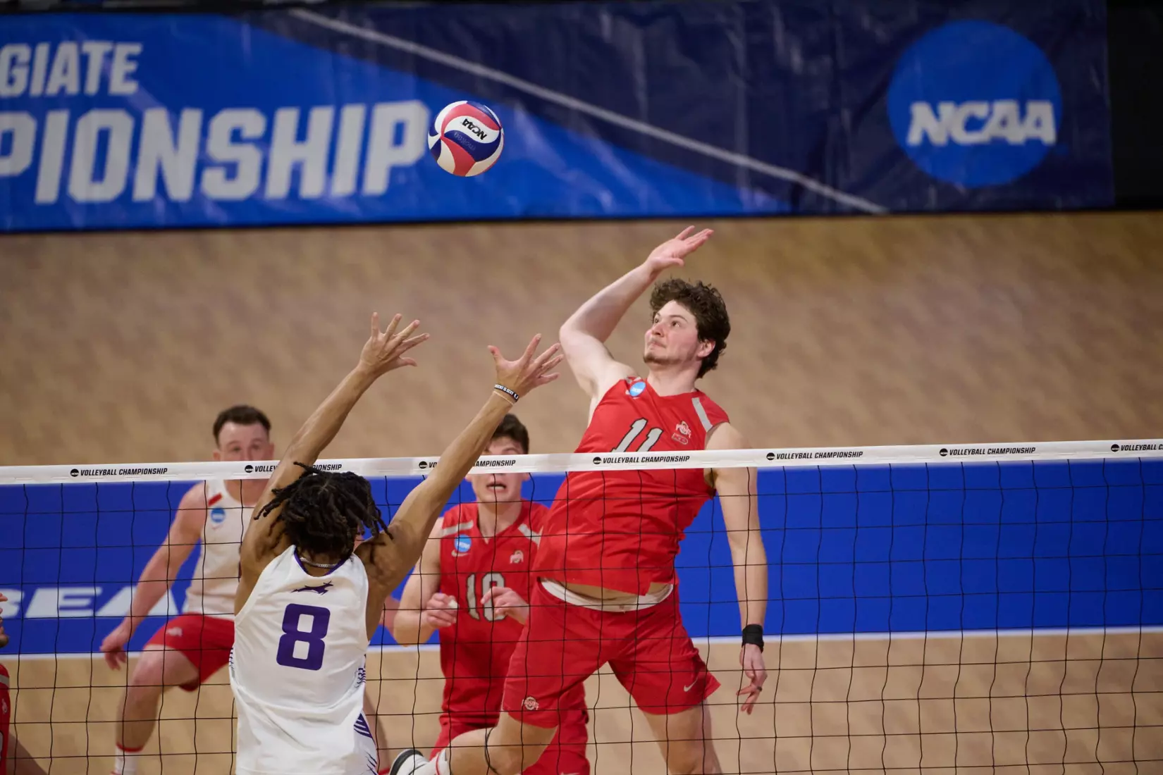 The Ohio State University Athletics - 2024 OSU Men's Volleyball versus Grand Canyon University Lopes at the 2024 NCAA Men's Volleyball Championship quarterfinals , Walter Pyramid, Long Beach State University, Long Beach, CA.
April 30th, 2024
Copyright Don Liebig/ASUCLA
240430_MVOL0395.NEF
