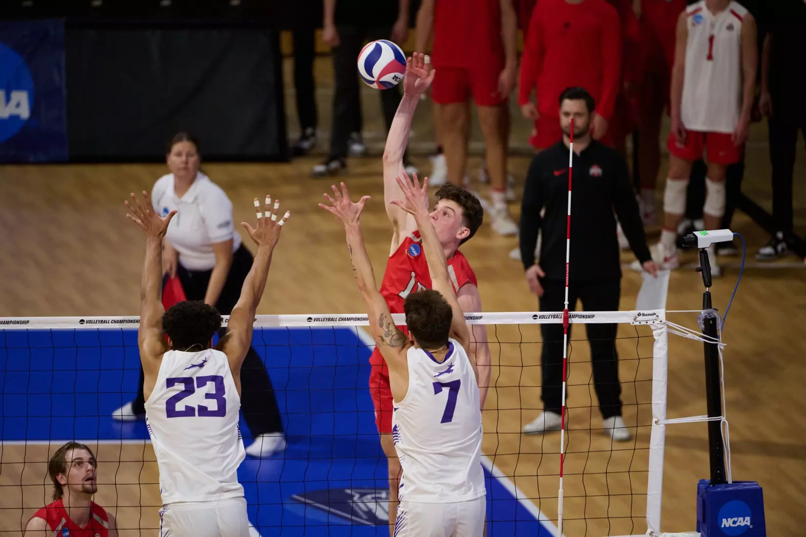 The Ohio State University Athletics - 2024 OSU Men's Volleyball versus Grand Canyon University Lopes at the 2024 NCAA Men's Volleyball Championship quarterfinals , Walter Pyramid, Long Beach State University, Long Beach, CA.
April 30th, 2024
Copyright Don Liebig/ASUCLA
240430_MVOL0360.NEF