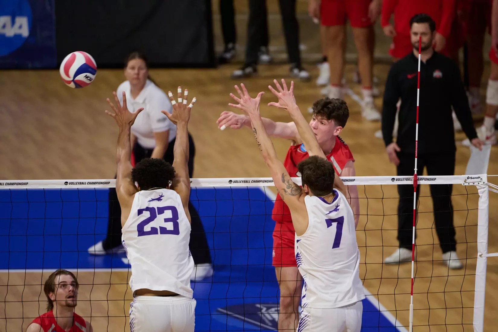 The Ohio State University Athletics - 2024 OSU Men's Volleyball versus Grand Canyon University Lopes at the 2024 NCAA Men's Volleyball Championship quarterfinals , Walter Pyramid, Long Beach State University, Long Beach, CA.
April 30th, 2024
Copyright Don Liebig/ASUCLA
240430_MVOL0361.NEF