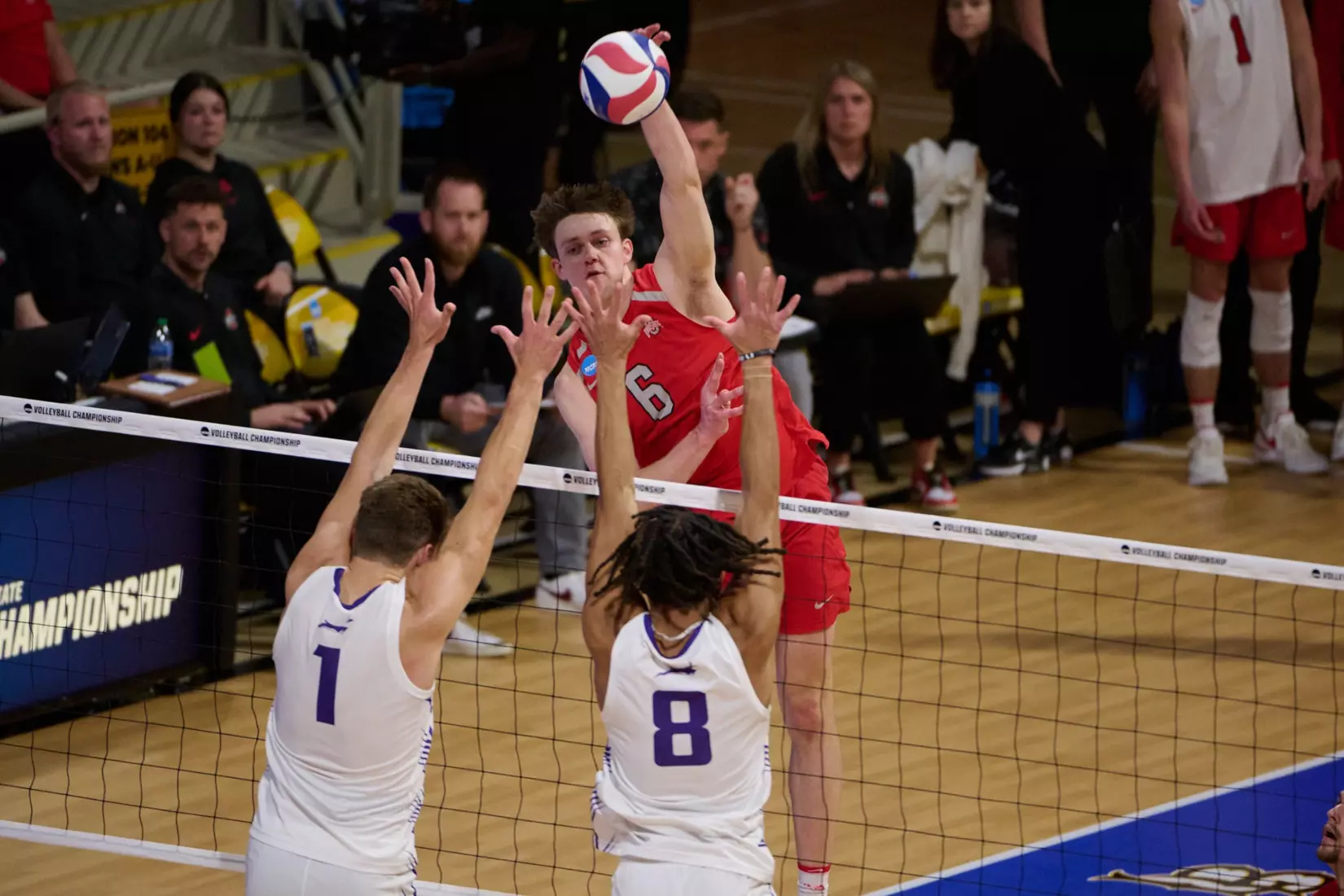 The Ohio State University Athletics - 2024 OSU Men's Volleyball versus Grand Canyon University Lopes at the 2024 NCAA Men's Volleyball Championship quarterfinals , Walter Pyramid, Long Beach State University, Long Beach, CA.
April 30th, 2024
Copyright Don Liebig/ASUCLA
240430_MVOL0144.NEF