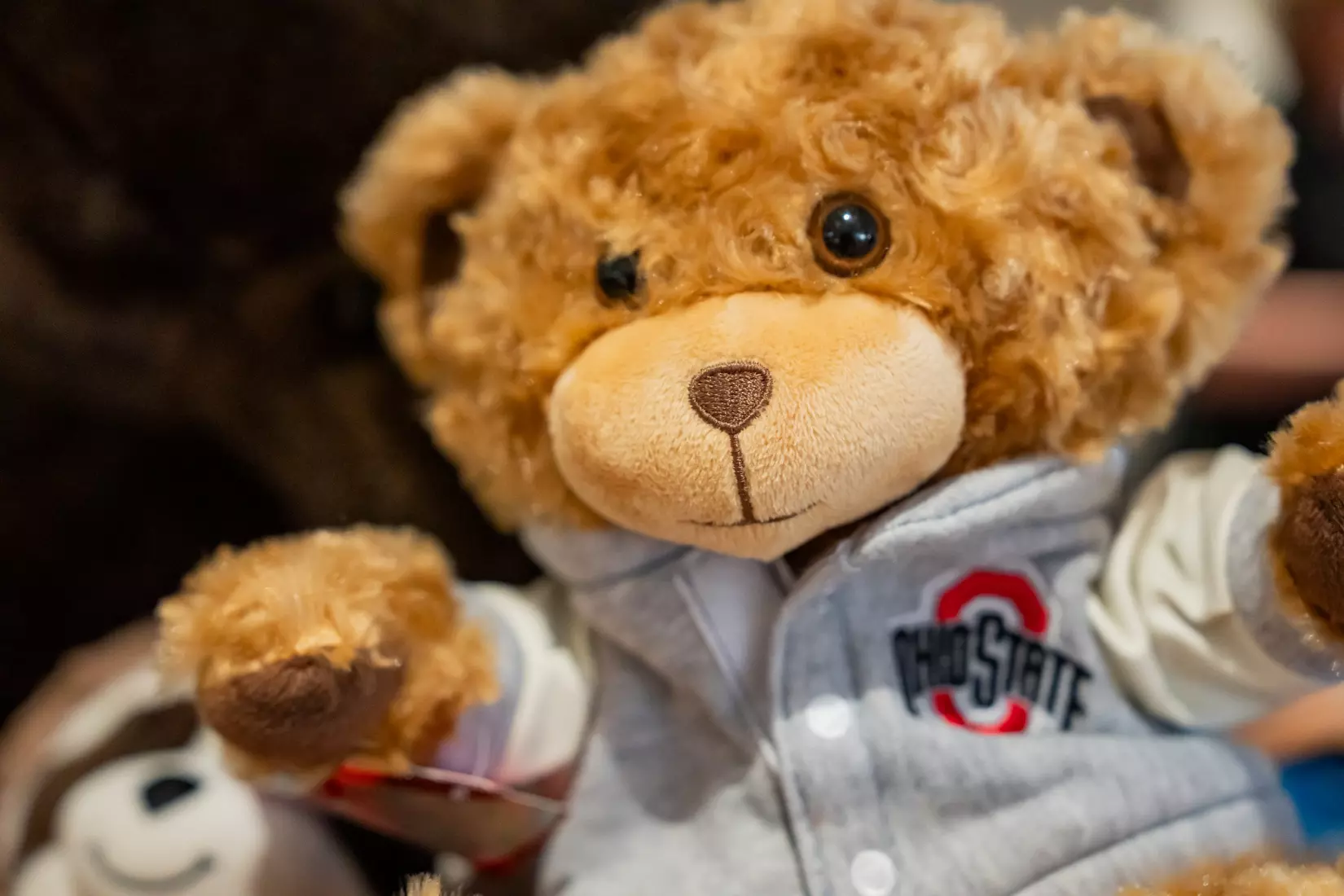 2024 Teddy Bear Toss delivery