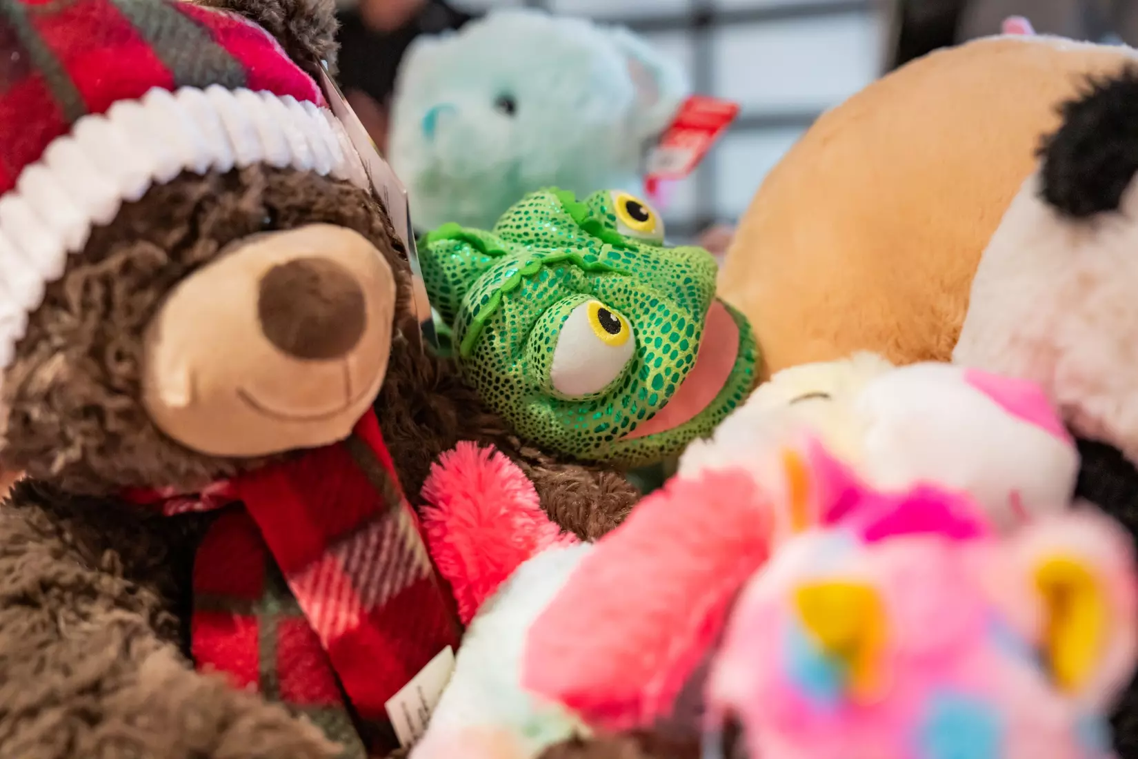 2024 Teddy Bear Toss delivery