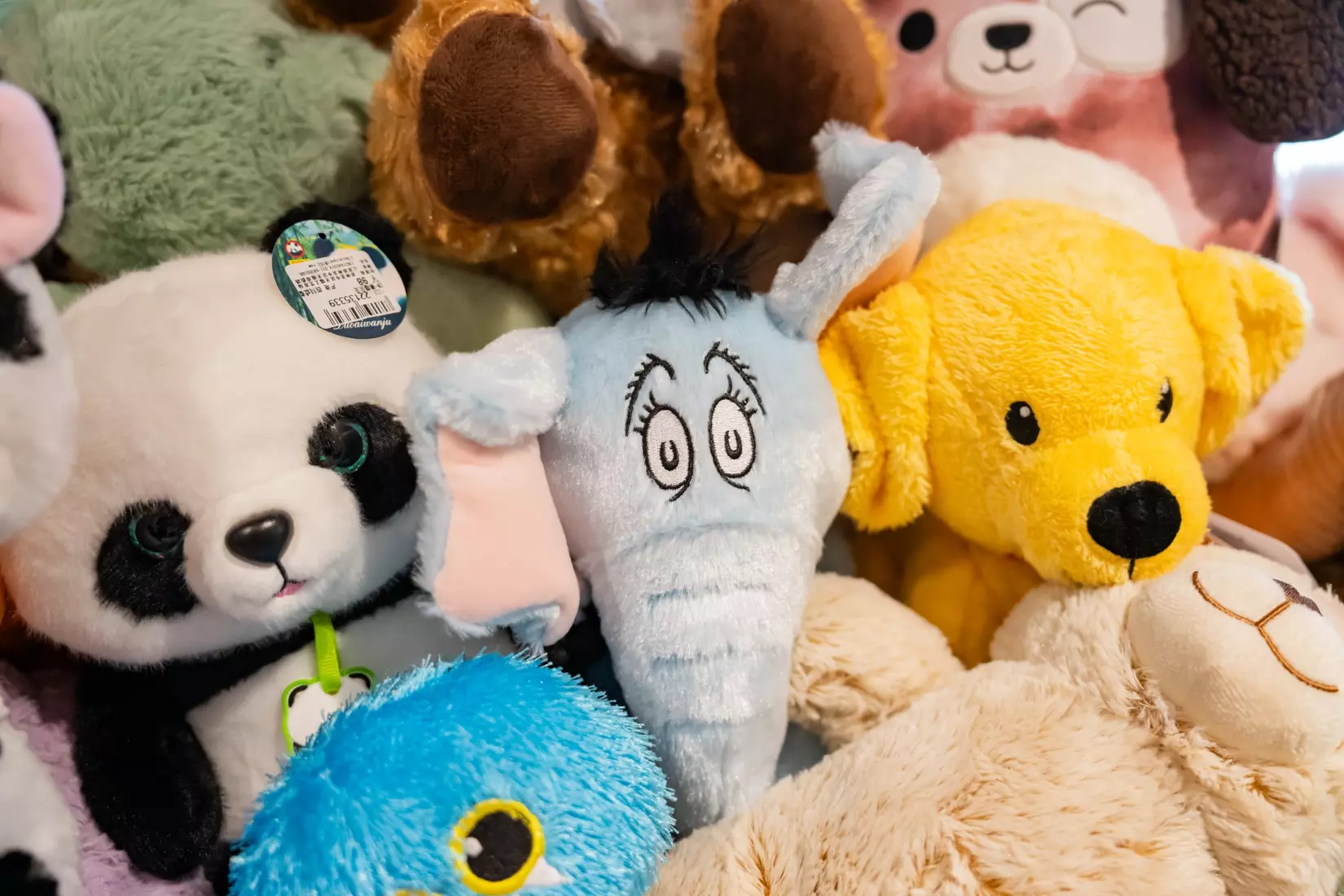 2024 Teddy Bear Toss delivery