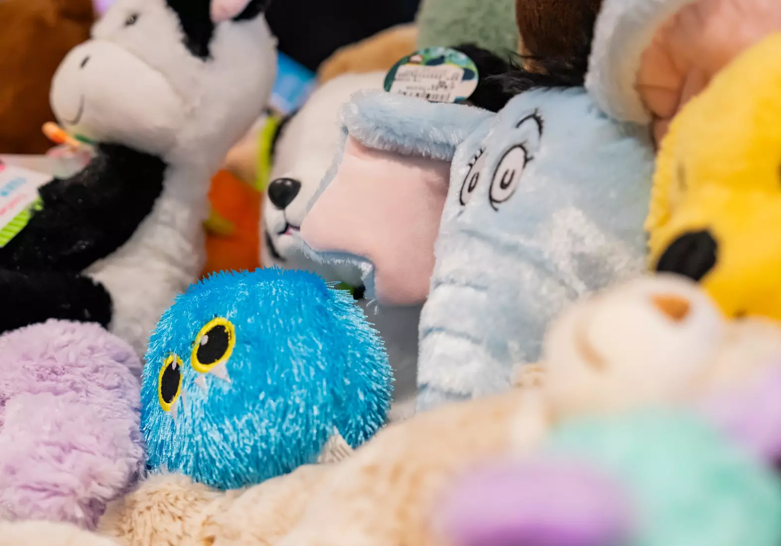 2024 Teddy Bear Toss delivery