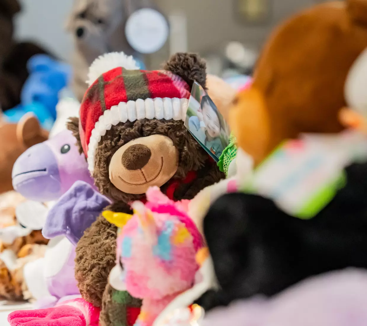 2024 Teddy Bear Toss delivery