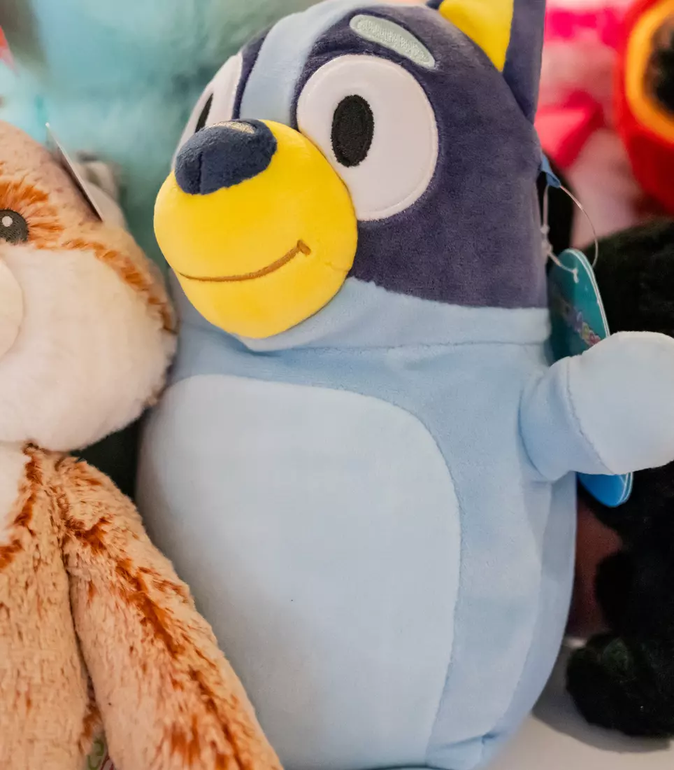 2024 Teddy Bear Toss delivery