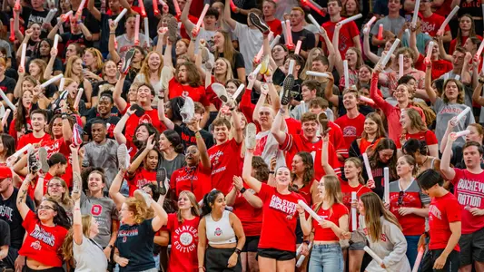 Women's Volleyball Fans