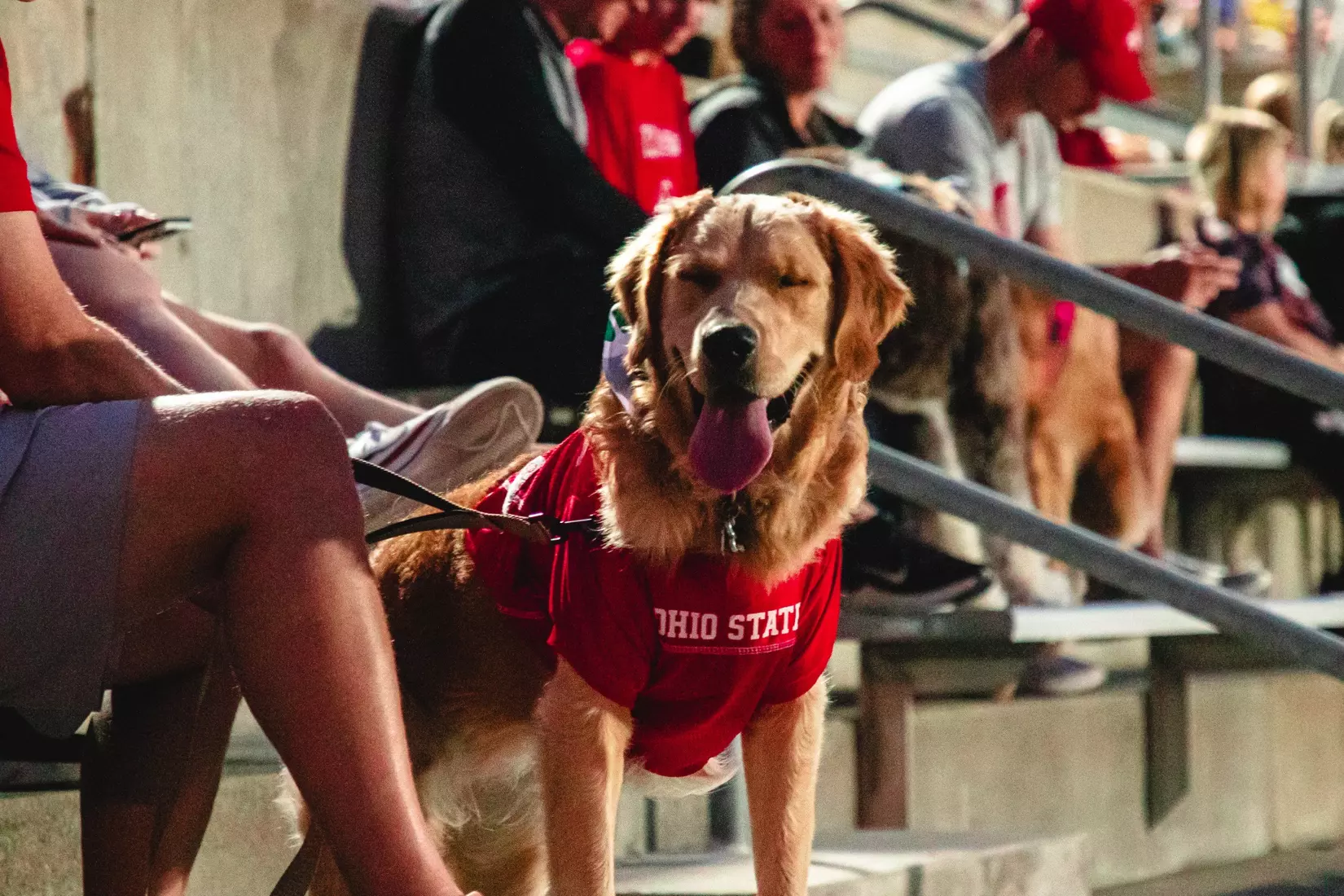 Men's Soccer vs Rutgers 09/22/24