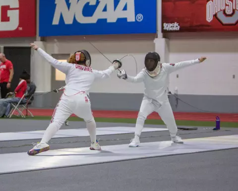 Fencing Open
