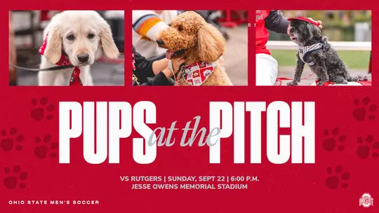 Pups at Pitch