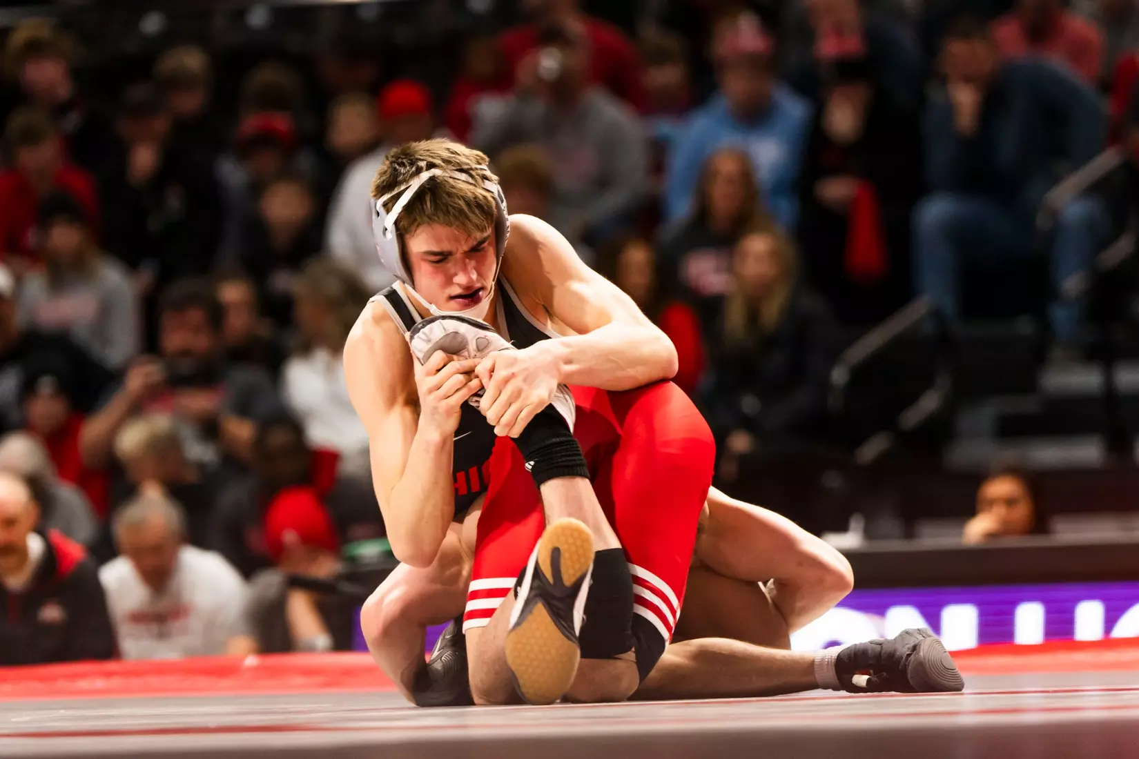 Sasso v RUT WR 11225