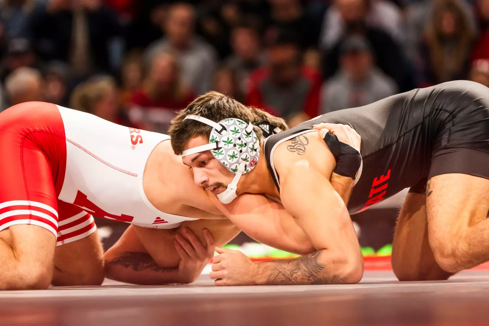 Sasso v RUT WR 11225