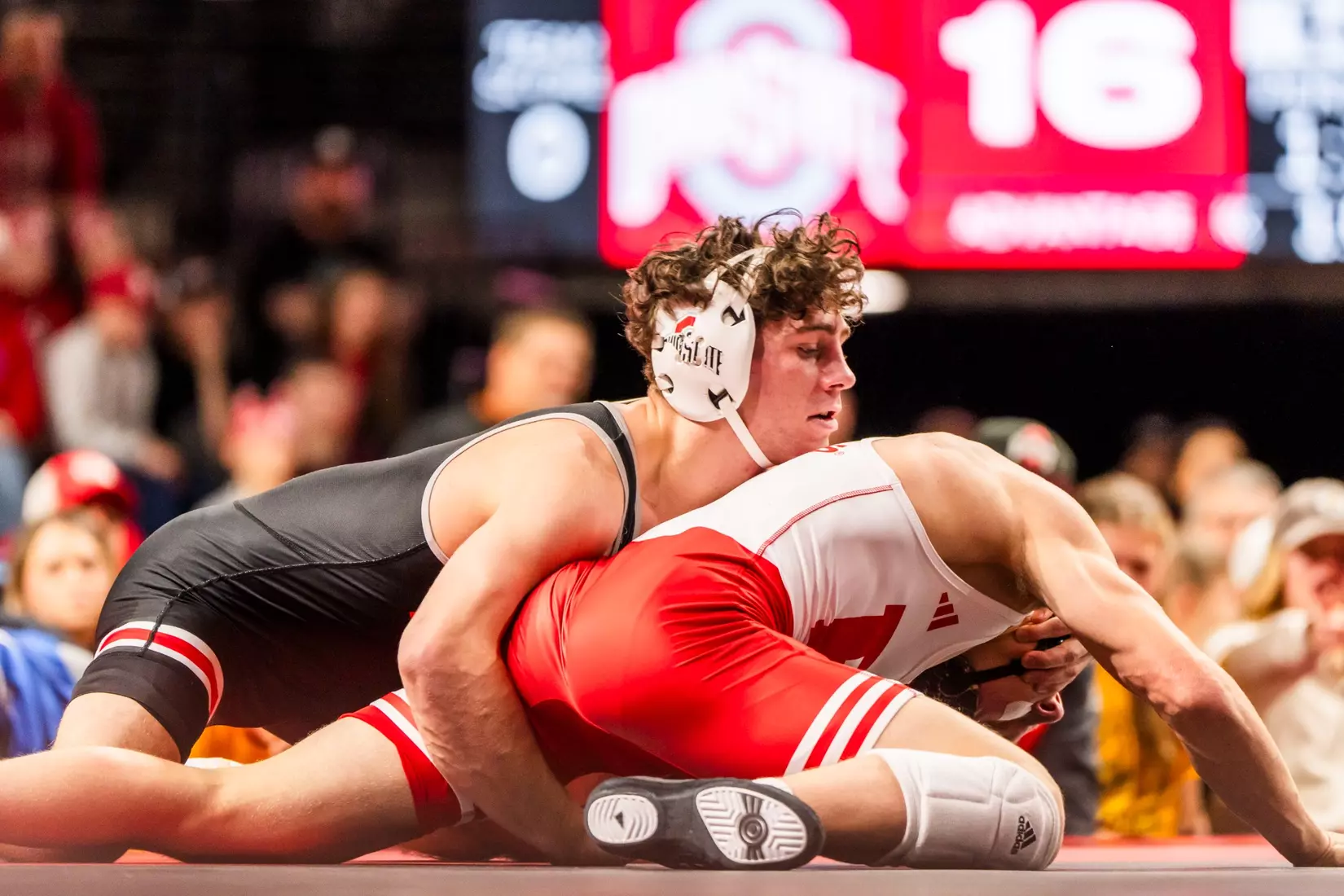 Sasso v RUT WR 11225