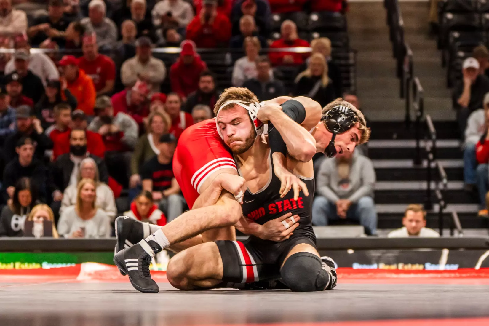 Sasso v RUT WR 11225