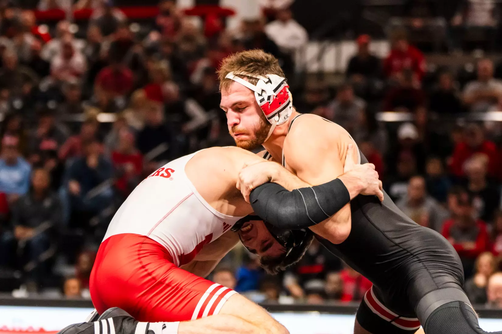 Sasso v RUT WR 11225