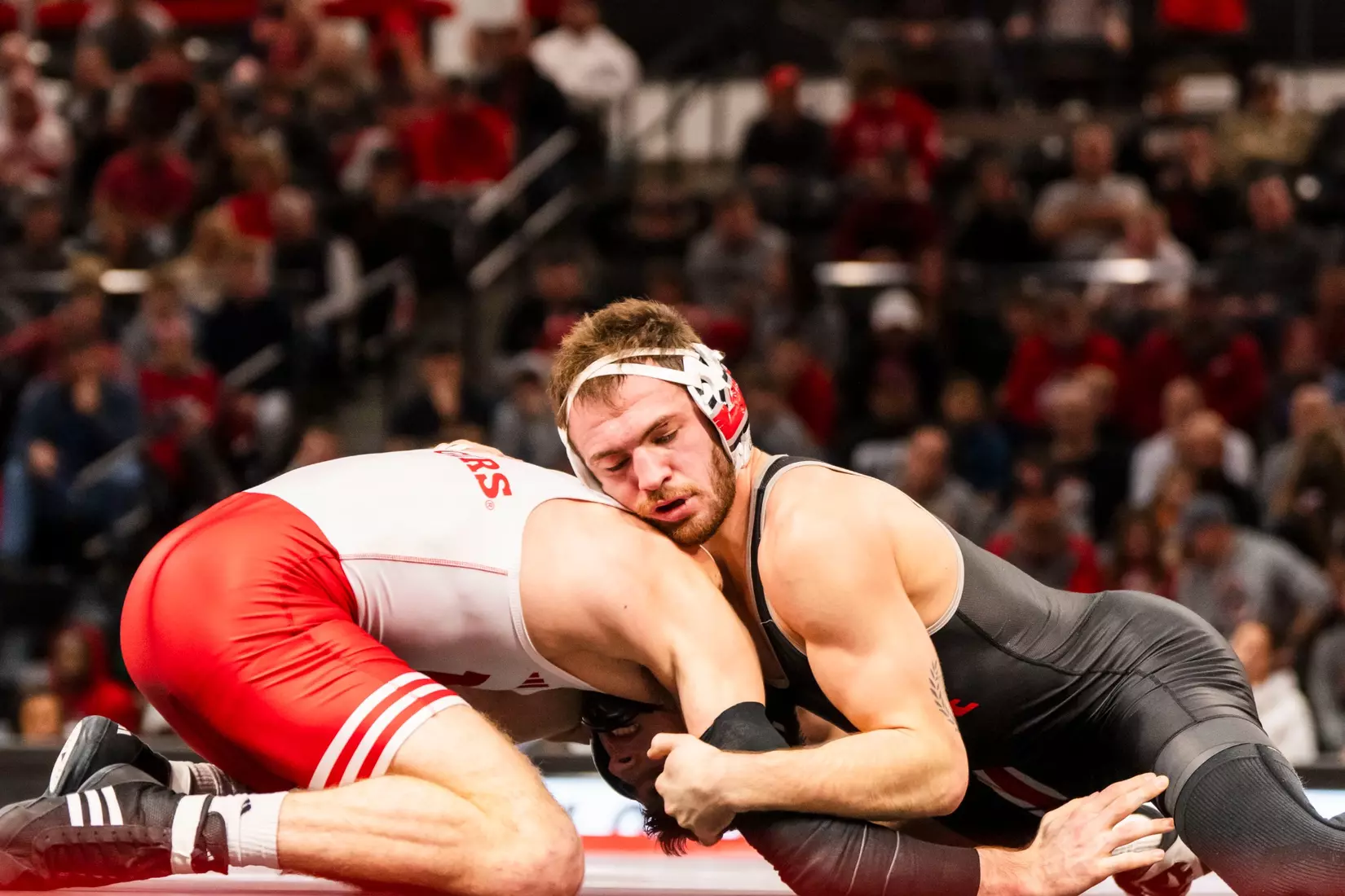 Sasso v RUT WR 11225