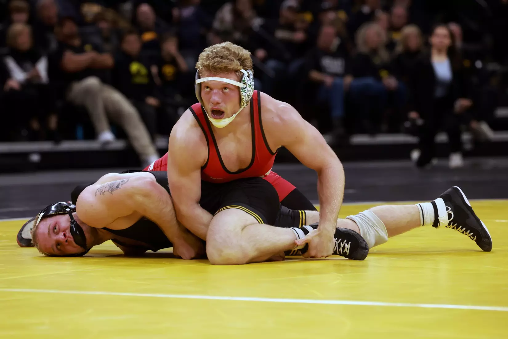 Ohio State wrestling vs. Iowa Saturday, Jan. 25, 2025, in Iowa City, Iowa. (Photo/Jay LaPrete)