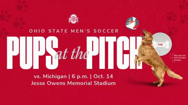 Pups at The Pitch