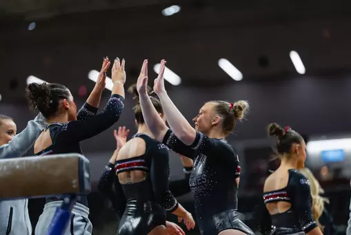 No. 19 Ohio State Hosts Illinois Saturday