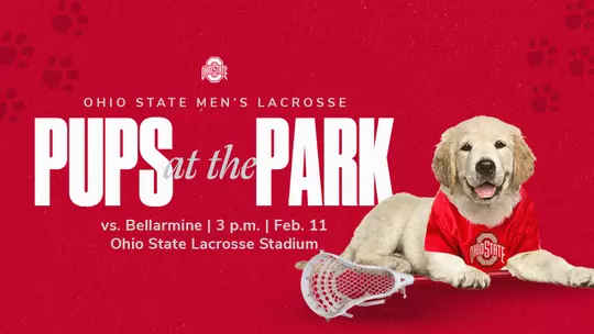 MLAX_PupsAtThePark_16-x-9