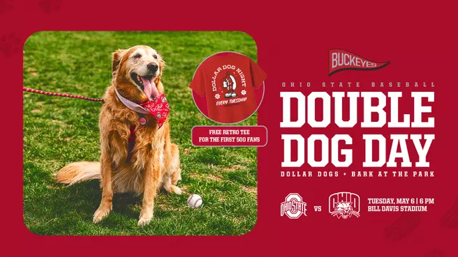 Baseball Bark at the Park
